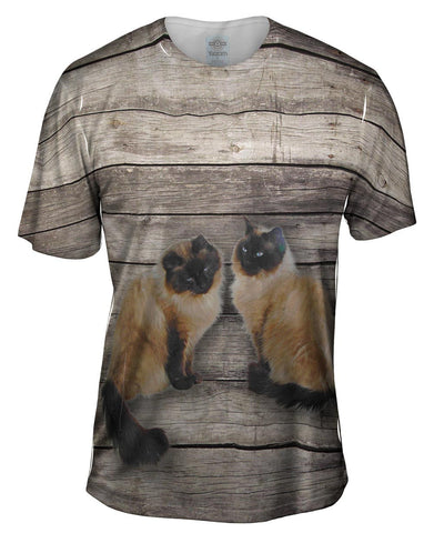 Vintage Siamese Cats