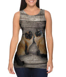 Vintage Siamese Cats