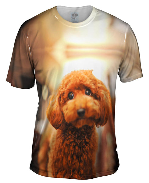 Toy Poodle Droopy Eyes&nbsp;Mens T-Shirt