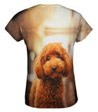 Toy Poodle Droopy Eyes