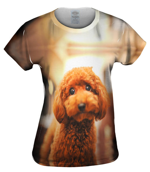 Toy Poodle Droopy Eyes Womens Top