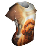 Toy Poodle Droopy Eyes