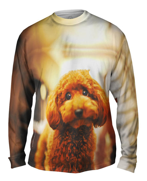 Toy Poodle Droopy Eyes Mens Long Sleeve
