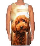 Toy Poodle Droopy Eyes