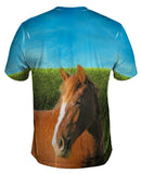 Boundless Brown Horse