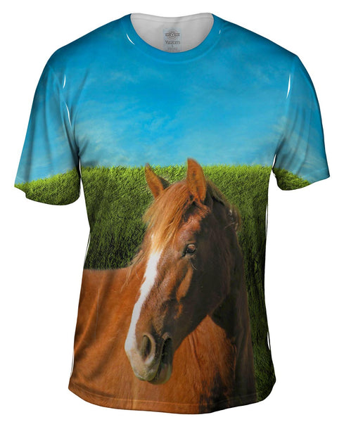Boundless Brown Horse&nbsp;Mens T-Shirt