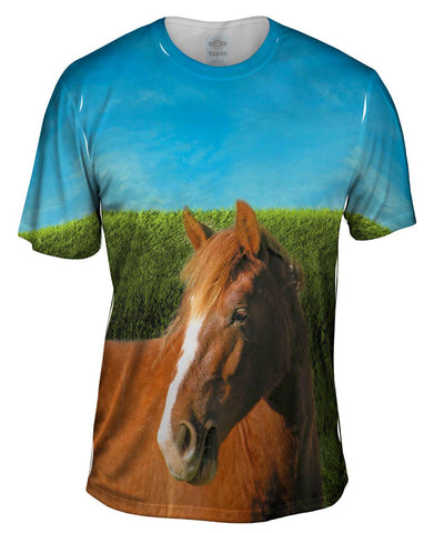 Boundless Brown Horse
