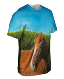 Boundless Brown Horse