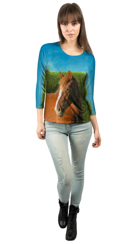 Boundless Brown Horse