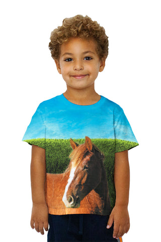 Kids Boundless Brown Horse