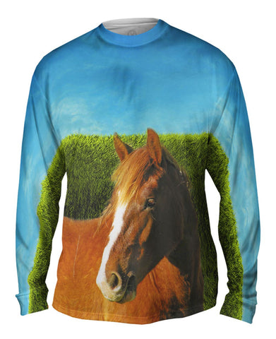 Boundless Brown Horse
