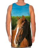 Boundless Brown Horse