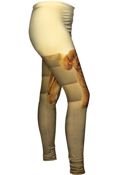 Poodle Couch King&nbsp;Womens Leggings