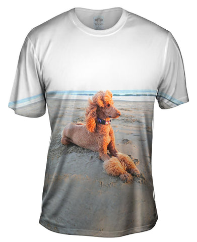 Beach Poodle Sunset