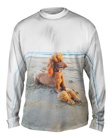 Beach Poodle Sunset