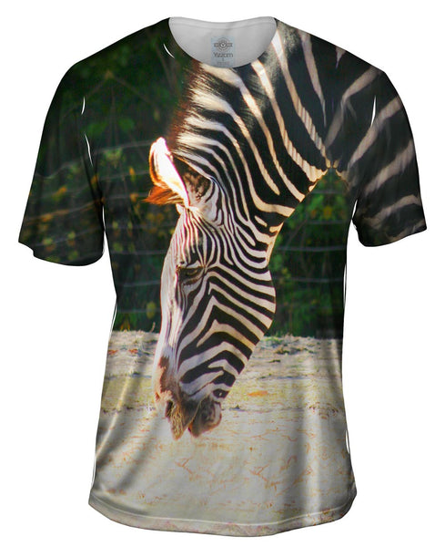 Sipping Zebra Mens T-Shirt