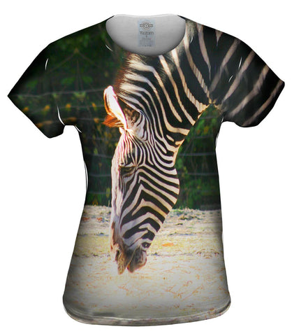 Sipping Zebra