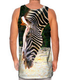 Sipping Zebra