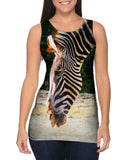 Sipping Zebra