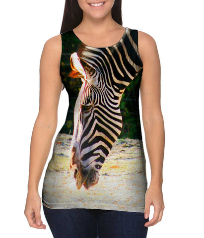 Sipping Zebra