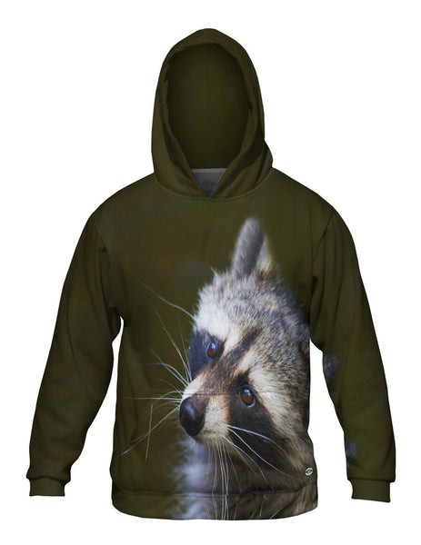 Curious Brown Raccoon Mens Hoodie Sweater