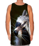 Curious Brown Raccoon