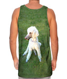 Poodle Tripod