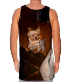 Rambunctious Yorkie