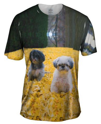 Shih Tzus In Fall