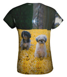Shih Tzus In Fall