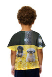 Kids Shih Tzus In Fall