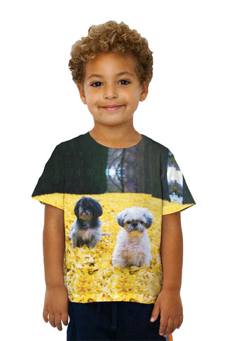 Kids Shih Tzus In Fall