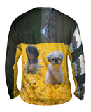 Shih Tzus In Fall