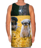 Shih Tzus In Fall