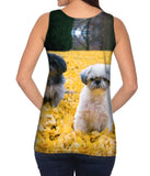 Shih Tzus In Fall