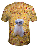 Shih Tzu Amongst The Autumn Leaves
