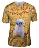 Shih Tzu Amongst The Autumn Leaves