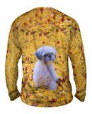 Shih Tzu Amongst The Autumn Leaves