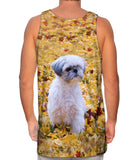 Shih Tzu Amongst The Autumn Leaves