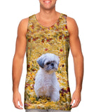 Shih Tzu Amongst The Autumn Leaves