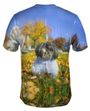 Winking Shih Tzu