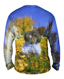 Winking Shih Tzu