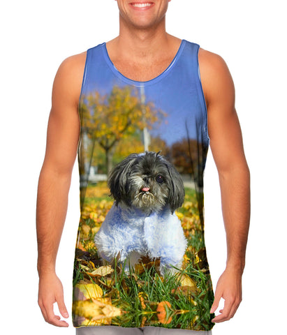 Winking Shih Tzu