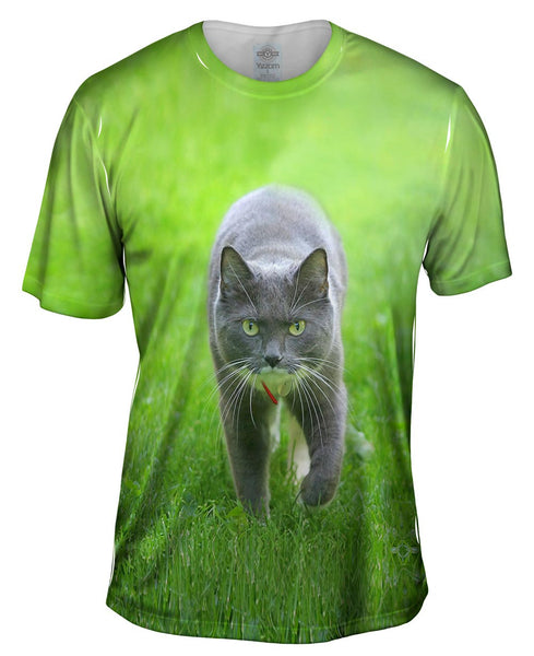 Ferocious Grey Cat Mens T-Shirt