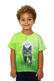 Kids Ferocious Grey Cat