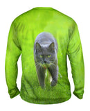 Ferocious Grey Cat
