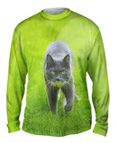 Ferocious Grey Cat