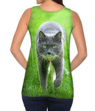 Ferocious Grey Cat