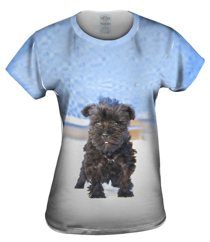 Quirky Schnauzer Poolside
