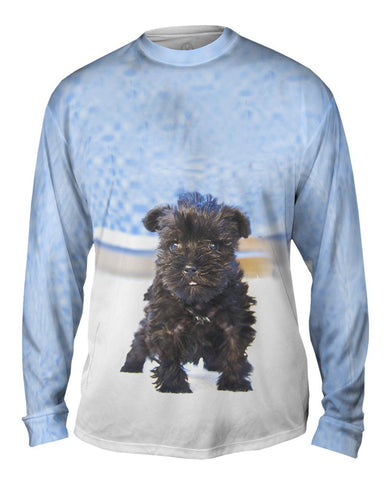 Quirky Schnauzer Poolside